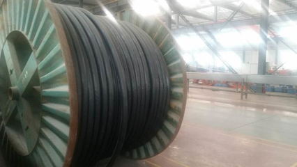 銅芯定制化電纜 低價(jià)震撼下的YJLV22 3*185電纜線市場(chǎng)探析